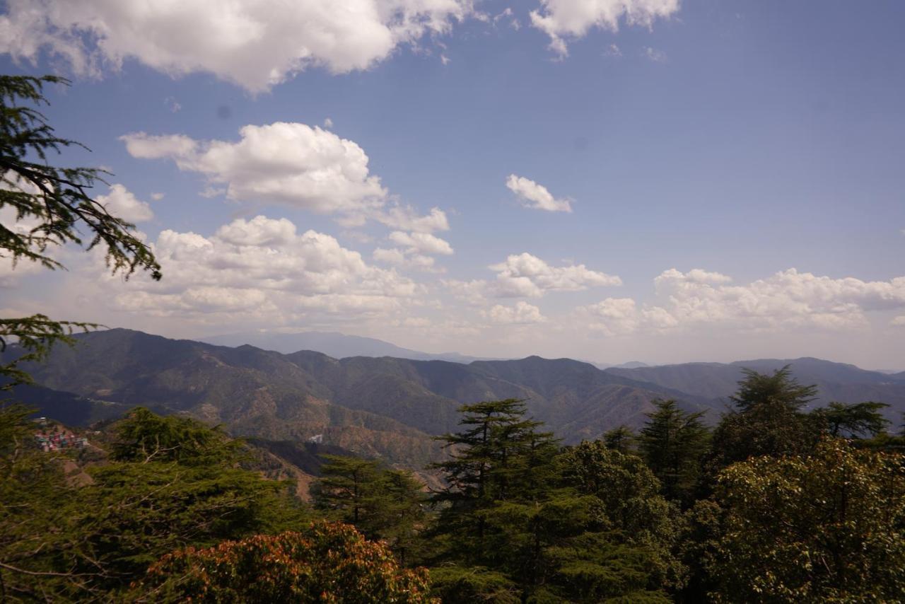 Jakhu Vibes Shimla Luaran gambar