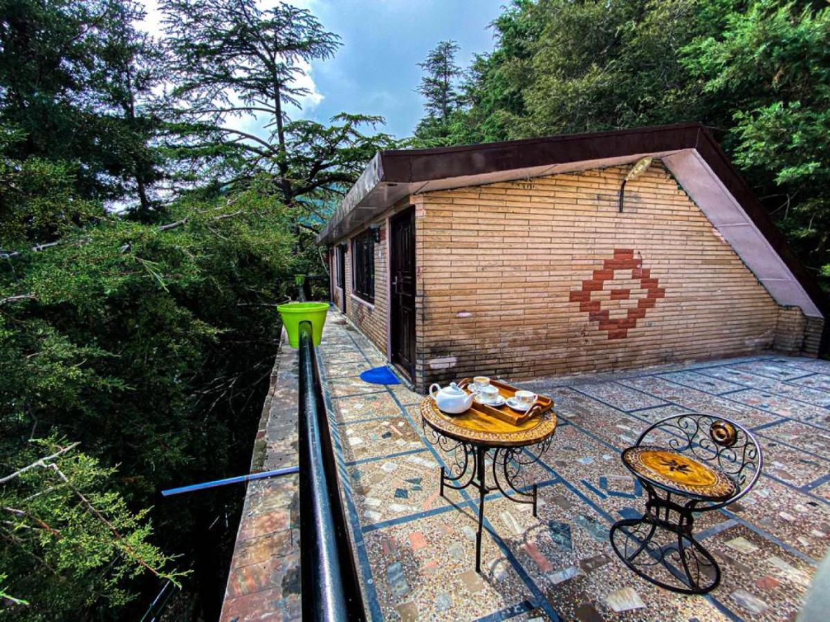 Jakhu Vibes Shimla Luaran gambar