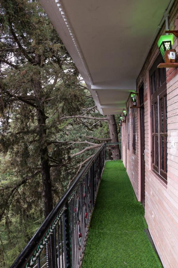 Jakhu Vibes Shimla Luaran gambar