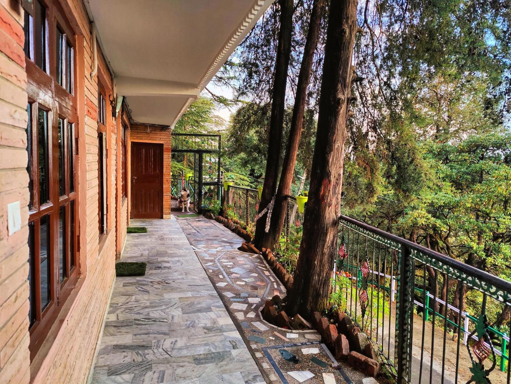 Jakhu Vibes Shimla Luaran gambar